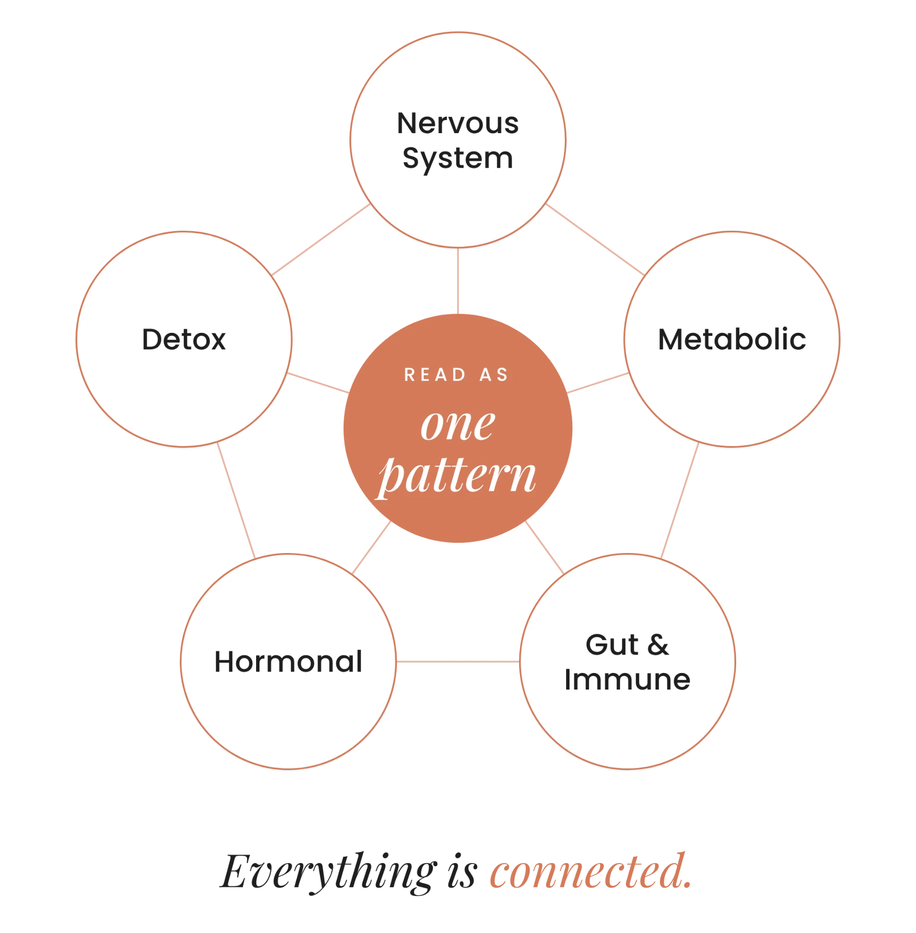 Five connected body systems — nervous, metabolic, gut and immune, hormonal, detox — read as one pattern. Everything is connected.