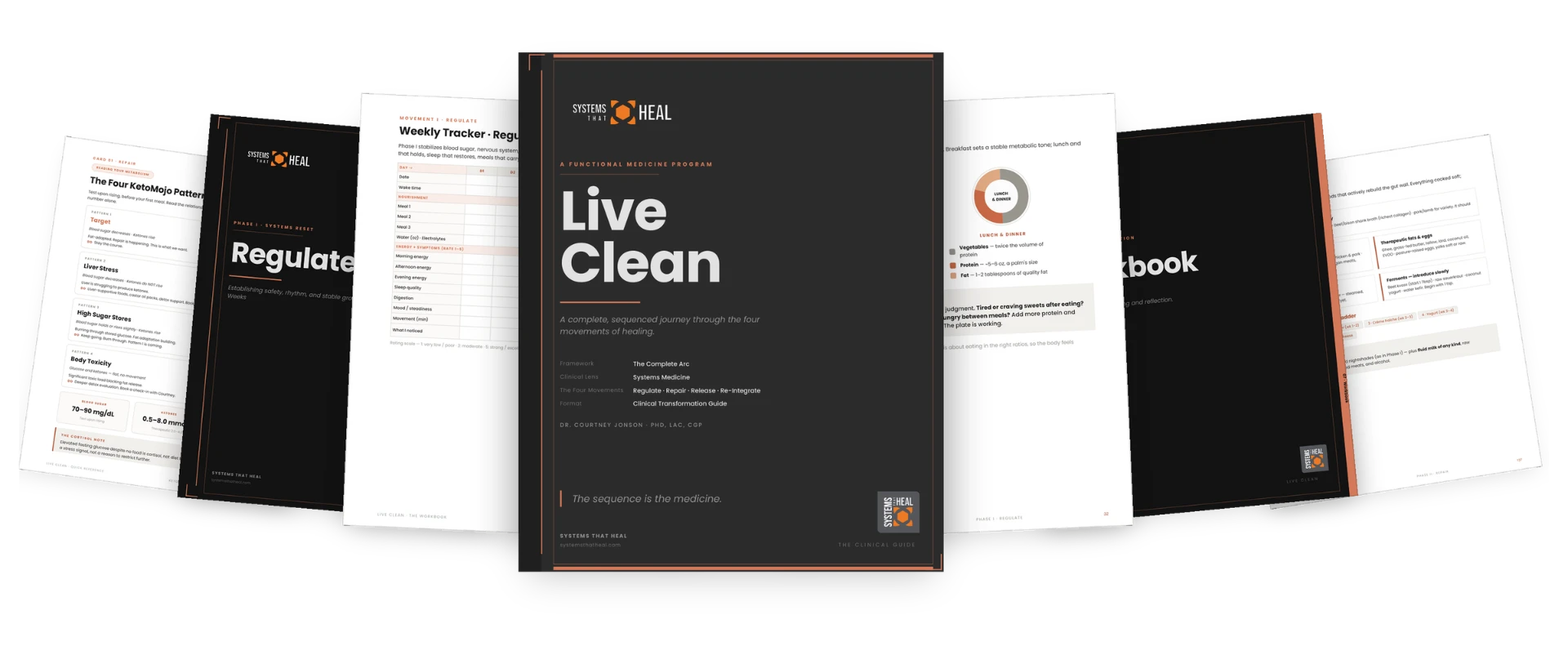 Live Clean program materials — The Clinical Guide, weekly trackers, workbooks, and meal-plan reference sheets