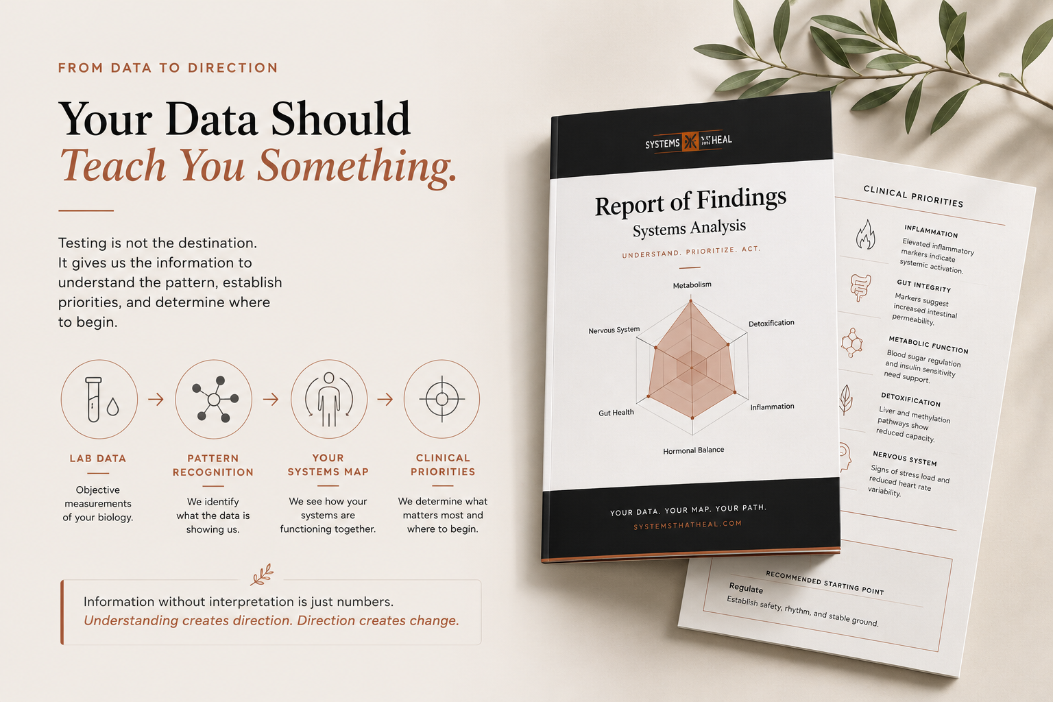 Systems That Heal Report of Findings: lab data translated into a systems map and clinical priorities