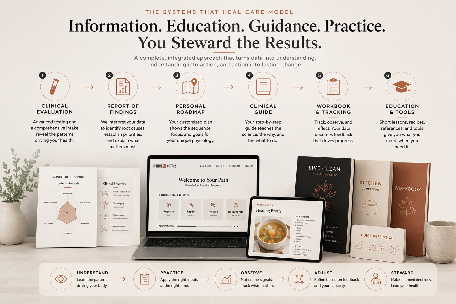 The Systems That Heal toolkit: Report of Findings, clinical guide, kitchen companion, workbook, quick reference cards, and the online dashboard