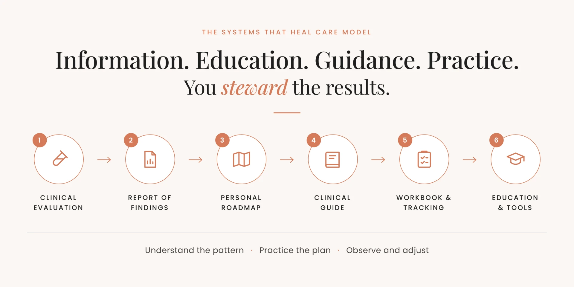 The Systems That Heal care model: clinical evaluation, Report of Findings, personal roadmap, clinical guide, workbook and tracking, education and tools.